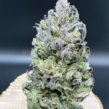 Purple Hans - Bio CBD Cannabis (10g)